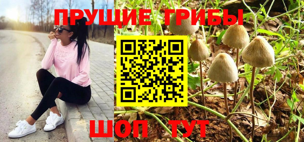 купить наркоту  Вход с VPN  Анжеро-Судженск  Псилоцибиновые грибы мухоморы  Галлюциногенные грибы Cubensis 